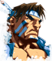 T.Hawk